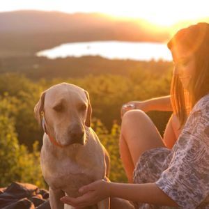 Meet your Posher, Drew